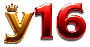y16